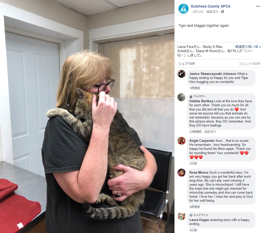 飼い主と11年ぶりに再会した猫（画像は『Dutchess County SPCA　2019年8月22日付Facebook「Tiger and Maggie together again」』のスクリーンショット）