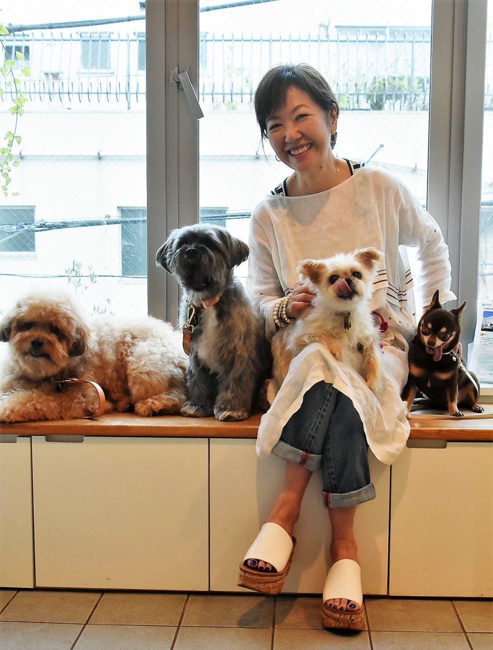 浅田美代子と4匹の愛犬（左からCOO、与作、アヴィ、カル）