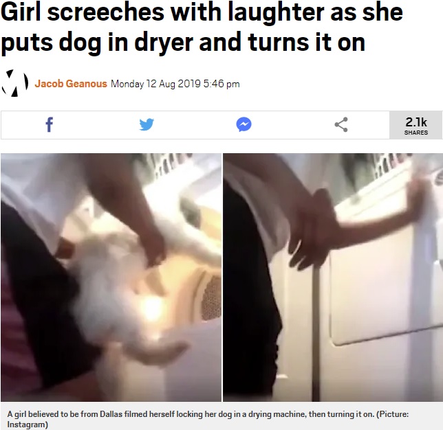犬を洗濯乾燥機に入れる少女（画像は『Metro　2019年8月12日付「Girl screeches with laughter as she puts dog in dryer and turns it on」（Picture: Instagram）』のスクリーンショット）