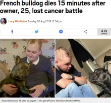 【海外発！Breaking News】飼い主の死から15分後に息を引き取った犬（スコットランド）