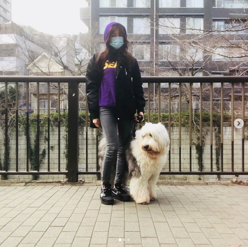 工藤静香と愛犬“ヒカル”ちゃん、今年3月の投稿（画像は『Kudo_shizuka　2019年3月19日付Instagram「この時期の散歩はクシャミで腰が抜けてしまいそう」』のスクリーンショット）