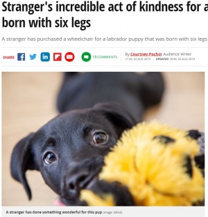 【海外発！Breaking News】6本脚の犬に愛犬を亡くしたばかりの女性が車椅子をプレゼント（英）
