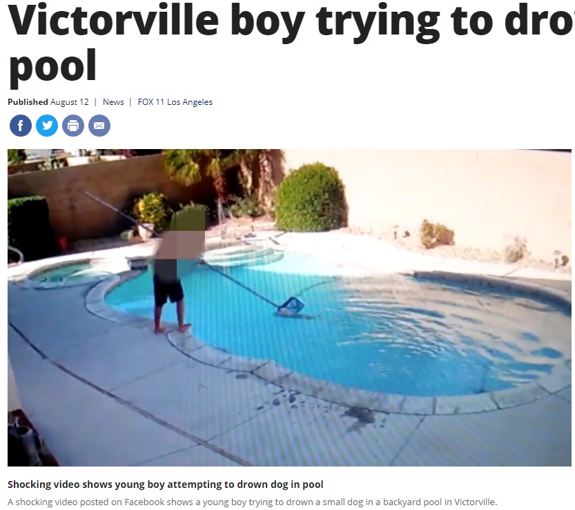 犬をプールに沈める男児（画像は『FOX 11 Los Angeles　2019年8月12日付「Shocking video captures young Victorville boy trying to drown dog in pool」』のスクリーンショット）