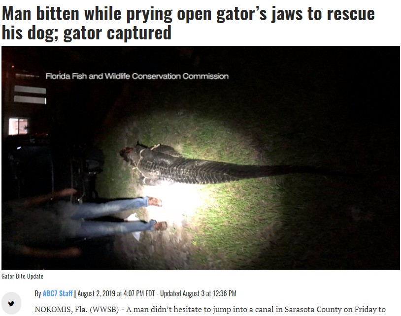 愛犬を救うためワニの顎をこじ開けた飼い主（画像は『MySuncoast.com　2019年8月2日付「Man bitten while prying open gator’s jaws to rescue his dog; gator captured」』のスクリーンショット）