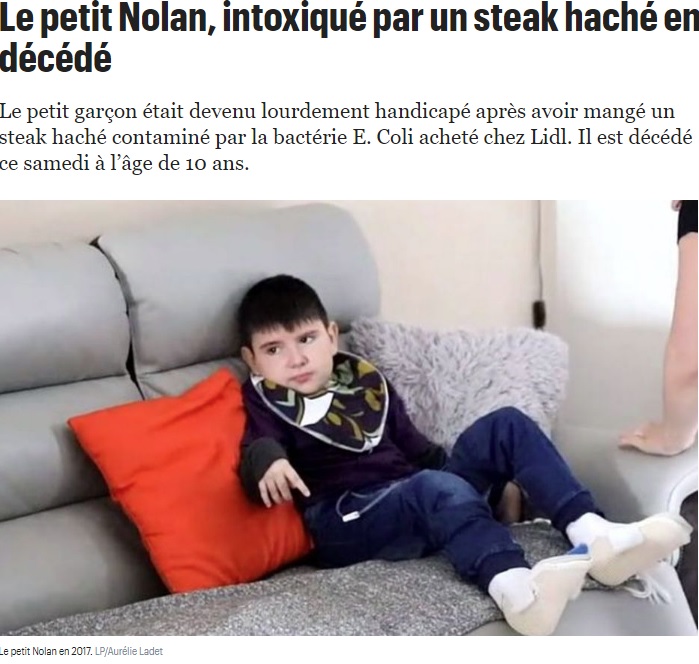 2011年に食べたハンバーガーが原因で亡くなった少年（画像は『Le Parisien　2019年9月14日付「Le petit Nolan, intoxiqué par un steak haché en 2011, est décédé」（LP/Aurélie Ladet）』のスクリーンショット）