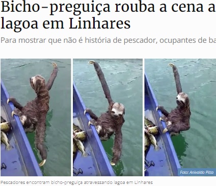 突然現れ岸までボートで移動したナマケモノ（画像は『Gazeta Online　2019年9月2日付「Bicho-preguiça rouba a cena atravessando lagoa em Linhares」（POTO:Anivaldo Pitta）』のスクリーンショット）