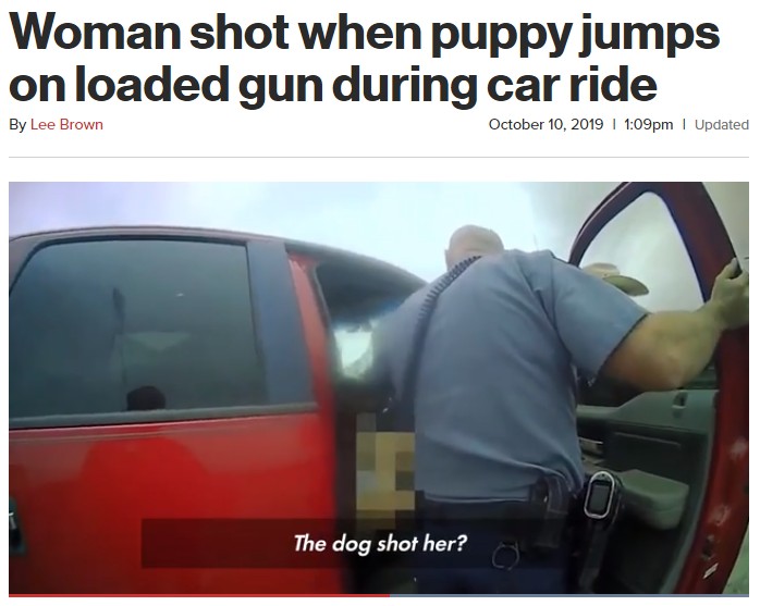 車内で犬が銃を発砲？（画像は『New York Post　2019年10月10日付「Woman shot when puppy jumps on loaded gun during car ride」』のスクリーンショット）