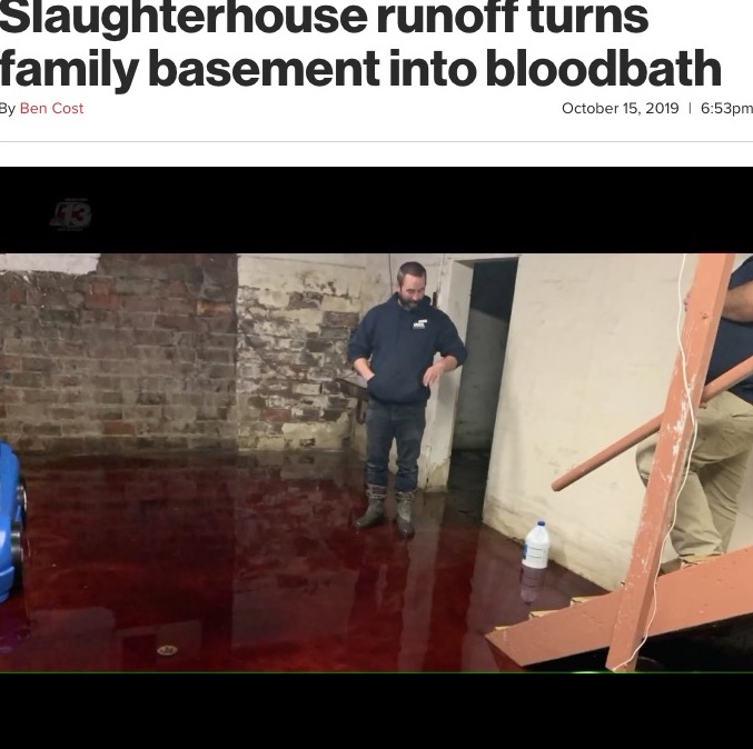 隣の食肉処理場からの排水で地下室が血の海に（画像は『New York Post　2019年10月15日付「Slaughterhouse runoff turns family basement into bloodbath」』のスクリーンショット）