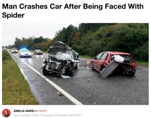 【海外発！Breaking News】「蜘蛛が車内に！」焦ったドライバー、退治しようとして衝突事故（英）