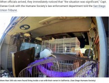 【海外発！Breaking News】2匹のネズミが300匹以上に　車の中で飼っていた女性が助けを求める（米）