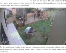 【海外発！Breaking News】ゴキブリを駆除しようとした男性、庭が吹っ飛び呆然（ブラジル）＜動画あり＞