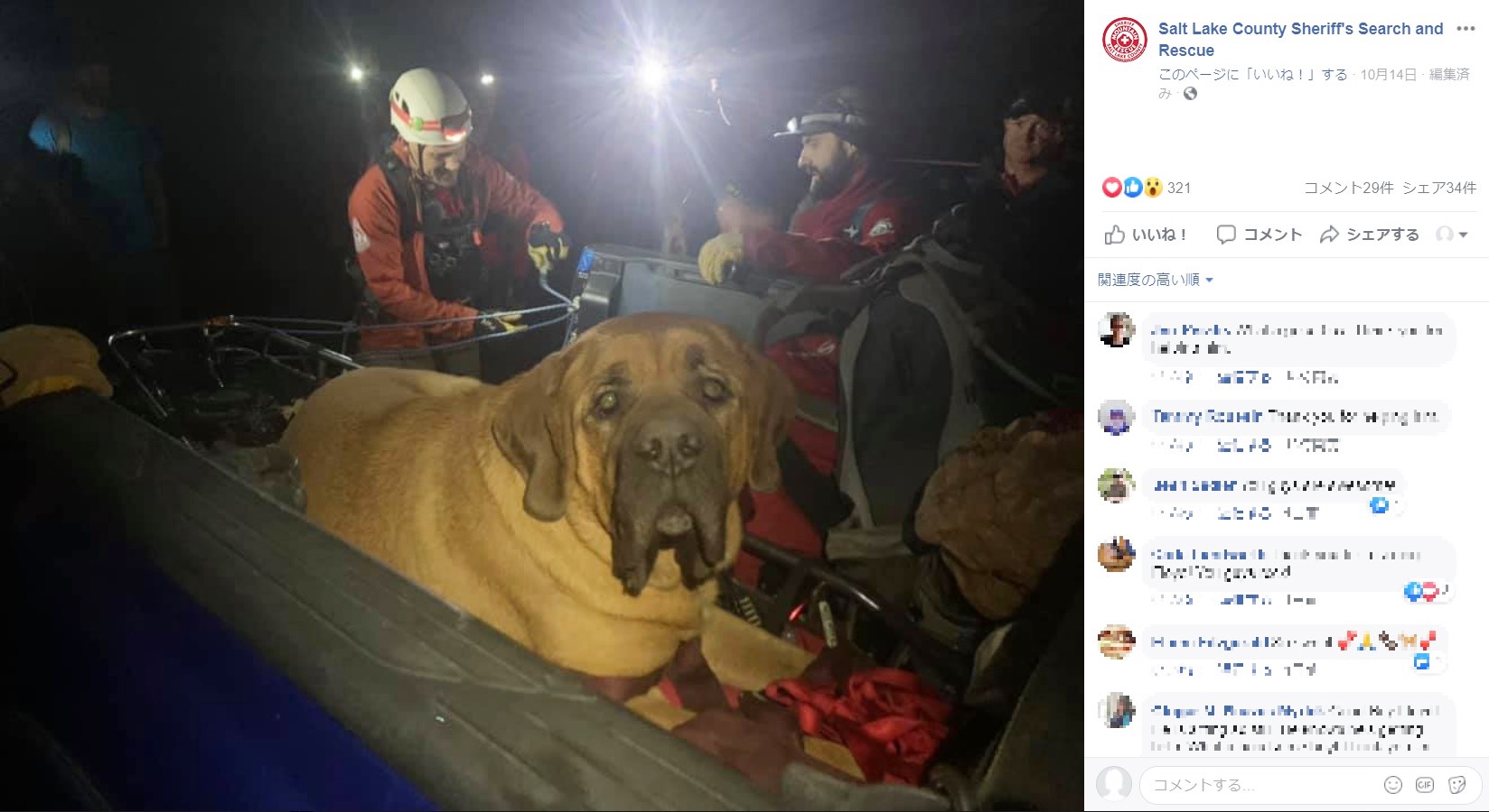 歩けなくなった犬が救助隊の担架で運ばれる（画像は『Salt Lake County Sheriff’s Search and Rescue　2019年10月14日付Facebook「Rescue ＃45 Grandeur Peak/ Millcreek Canyon」』のスクリーンショット）