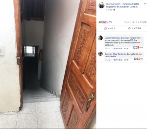 サミュエルくんが降りようとした階段（画像は『DLore Álvarez　2019年11月1日付Facebook「Les presento a la héroe de la semana」』のスクリーンショット）