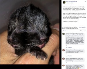 【海外発！Breaking News】2つの顔を持つネコ　獣医のもとで生後4か月を迎える（米）＜動画あり＞