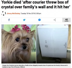 【海外発！Breaking News】庭で昼寝中の犬、配達員が放り投げた荷物で致命傷となり安楽死へ（米）