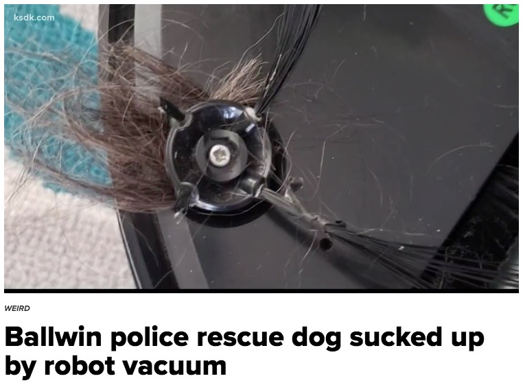 ストンウォールを吸い込んだロボット掃除機（画像は『KSDK.com 2019年11月26日付「Ballwin police rescue dog sucked up by robot vacuum」』のスクリーンショット）
