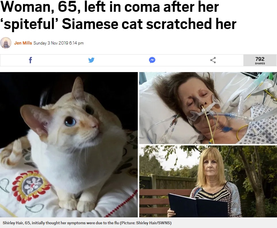 飼いネコ（左）に引っ掻かれ死の淵をさまよった女性（画像は『Metro　2019年11月3日付「Woman, 65, left in coma after her ‘spiteful’ Siamese cat scratched her」（Picture: Shirley Hair/SWNS）』のスクリーンショット）