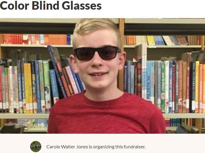 色覚を補正する眼鏡で世界が変わった少年（画像は『GoFundMe　2019年11月22日付「Color Blind Glasses」』のスクリーンショット）
