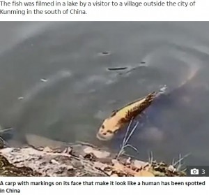 【海外発！Breaking News】中国の湖で“人面魚”発見「まるでホリが深い人間」