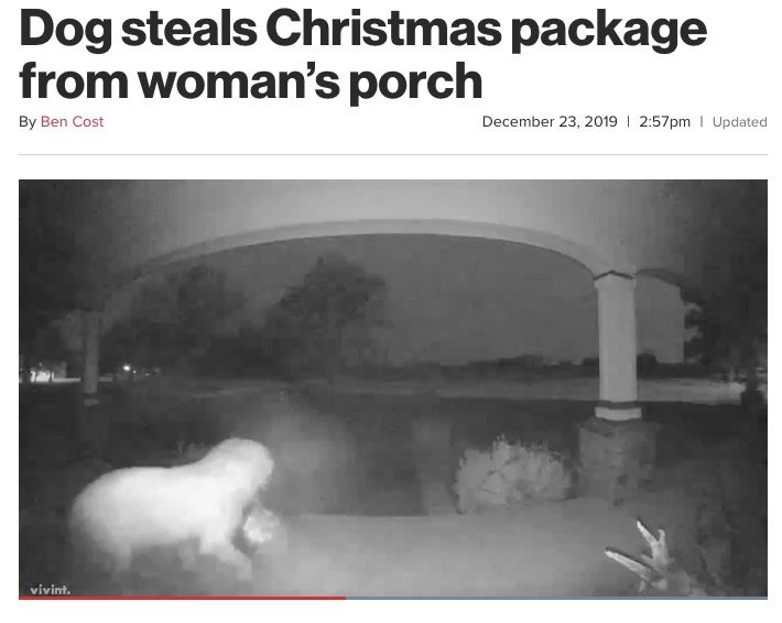 荷物泥棒の犯人は近所の犬だった（画像は『New York Post 2019年12月23日付 「Dog steals Christmas package from woman’s porch」』のスクリーンショット）