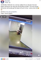 【海外発！Breaking News】エレベーターで宙吊り寸前の犬を救った男性「無我夢中だった」（米）＜動画あり＞