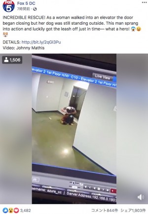 【海外発！Breaking News】エレベーターで宙吊り寸前の犬を救った男性「無我夢中だった」（米）＜動画あり＞