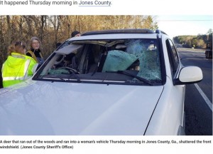 【海外発！Breaking News】鹿との衝突事故が急増　撥ねた鹿がフロントガラスを突き破り車内に飛び込むケースも（米）