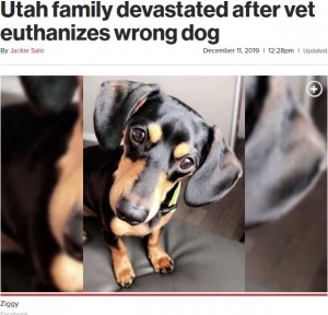 【海外発！Breaking News】愛犬を手違いで安楽死させた動物病院に飼い主が怒り（米）