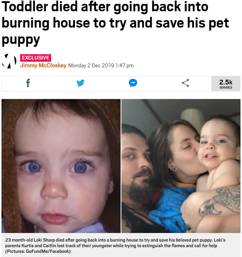 飼っていた子犬と一緒に命を落とした男児（画像は『Metro　2019年12月2日付「Toddler died after going back into burning house to try and save his pet puppy」（Pictures: GoFundMe/Facebook）』のスクリーンショット）