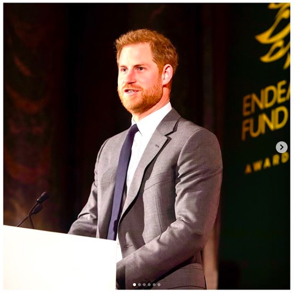 「引退」について初めて口を開いたヘンリー王子（画像は『The Duke and Duchess of Sussex　2019年12月9日付Instagram「Spotlight on: Endeavour Fund」』のスクリーンショット）