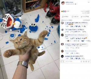 【海外発！Breaking News】1週間かけて完成したブロックの「ドラえもん」　一瞬でバラバラにした子猫が人気（タイ）