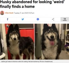 【海外発！Breaking News】「外見が変」とブリーダーに捨てられた犬、SNSで大人気に（米）