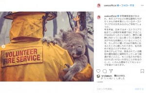 「今までに5億匹の野生動物が命を落とし、そのうち8千頭は野生のコアラが犠牲となっているみたいです」と紗栄子（画像は『SAEKO　2020年1月7日付Instagram「非常事態宣言が出され、未だコアラなどの野生動物たちがたくさんの命を落としているオーストラリアの火災をみなさんご存知でしょうか。」』のスクリーンショット）