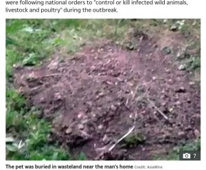 猫が生き埋めにされた現場（画像は『The US Sun　2020年2月3日付「PET PANIC Coronavirus – Quarantined man’s ‘cat is BURIED ALIVE by panicked neighbours who feared it could spread bug’」（Credit: AsiaWire）』のスクリーンショット）