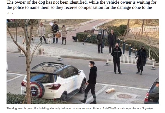 マンション上階から投げ捨てられた犬（画像は『news.com.au　2020年2月1日付「Dogs and cats thrown from apartments in China over virus spread fears」（Picture: AsiaWire/Australscope）』のスクリーンショット）