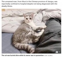 【海外発！Breaking News】ウイルス感染を懸念した住宅管理業者、飼い主不在中に猫を生き埋めに（中国）