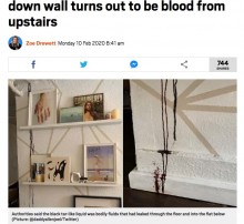【海外発！Breaking News】部屋の壁を伝う黒いタール状の液体、上階で死亡した人の血液だった（米）