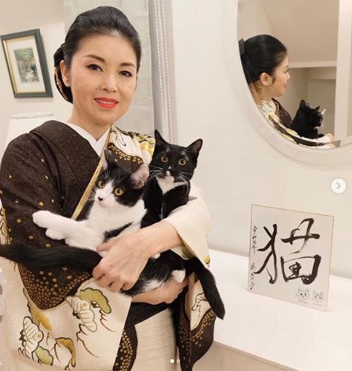 令和元年は今年の漢字に「猫」を選んだ藤あや子（画像は『藤あや子　2019年12月30日付Instagram「＃今年の漢字 『猫』何と言っても今年はこれに尽きます」』のスクリーンショット）