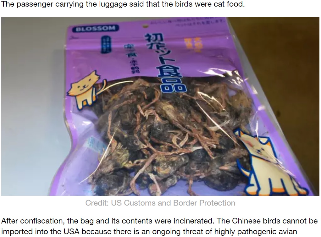 死んだ鳥が入ったパッケージ（画像は『LADbible　2020年2月11日付「US Airport Officials Confiscate Bag Of Dead Birds From Chinese Passenger」（Credit: US Customs and Border Protection）』のスクリーンショット）