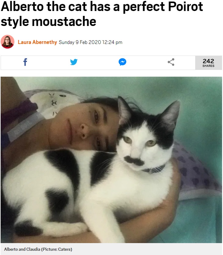 ちょび髭が特徴のネコと飼い主（画像は『Metro　2020年2月9日付「Alberto the cat has a perfect Poirot style moustache」（Picture: Caters）』のスクリーンショット）