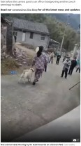 【海外発！Breaking News】新型コロナウイルスの拡散防止を理由に、中国で村中の犬が撲殺
