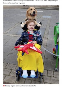 セラピードッグ“レオ”とオスカー君（画像は『Mirror　2020年3月5日付「Boy, 3, with rare brain condition recovers after therapy dog places paw on his hand」（Image: Lyndsey Uglow）』のスクリーンショット）