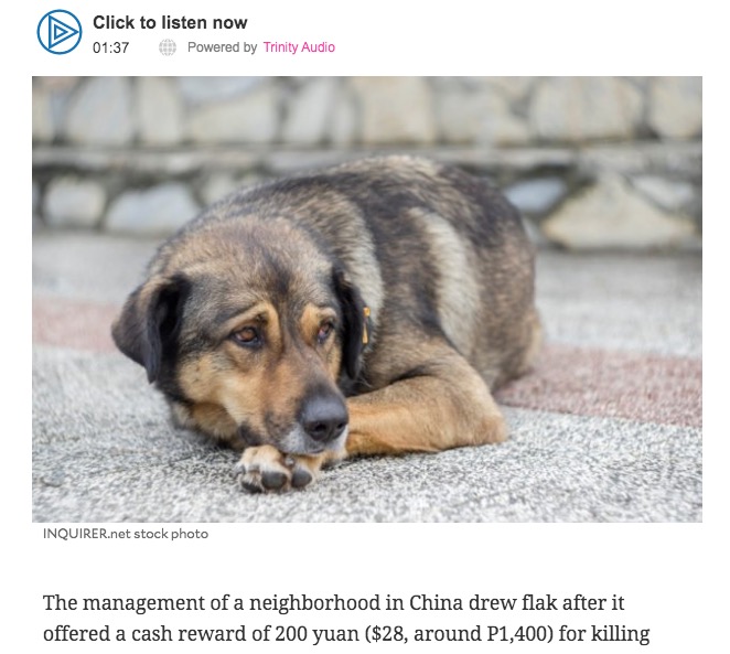 野良犬および鎖に繋がれていない犬を殺すよう自治体が奨励（画像は『Inquirer.net　2020年3月16日付「Chinese neighborhood slammed for offering cash to people who kill ‘stray’ dogs」（INQUIRER.net stock photo）』のスクリーンショット）