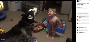 【海外発！Breaking News】抱腹絶倒！　ハスキー犬と一緒に吠える2歳児（米）＜動画あり＞