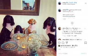 愛犬達のほのぼのショット（画像は『James Middleton　2020年3月18日付Instagram「Socialising while social distancing」』のスクリーンショット）