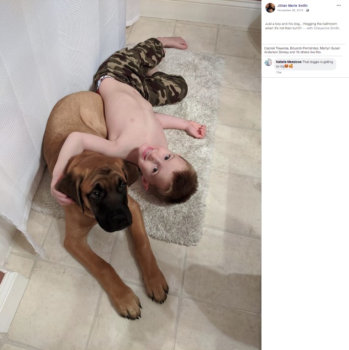 ペイトン君と親友のダッシュ（画像は『Jillian Marie Smith　2019年11月26日付Facebook「Just a boy and his dog... Hogging the bathroom when it’s not their turn!!!」』のスクリーンショット）