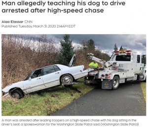【海外発！Breaking News】「犬に運転を教えてた」高速道路で車2台に追突した危険運転の男が逮捕（米）