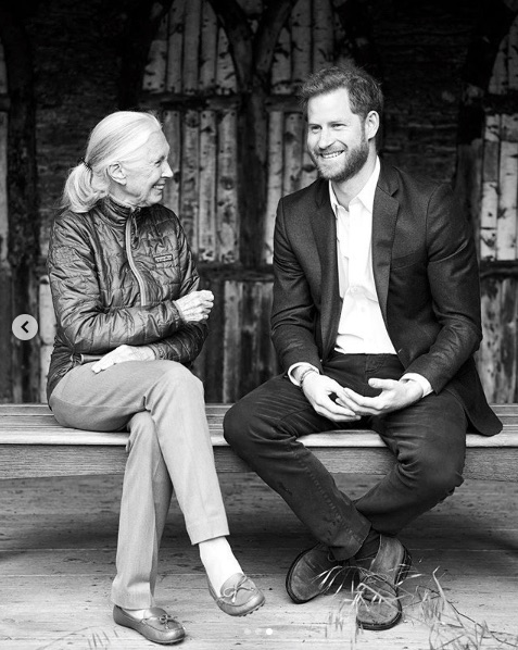 昨年、英版『VOGUE』の企画で対談したグドール博士とヘンリー王子（画像は『The Duke and Duchess of Sussex　2019年7月30日付Instagram「Earlier this summer HRH The Duke of Sussex met with world renowned ethologist Dr. Jane Goodall for an intimate conversation on environment, activism, and the world as they see it.」』のスクリーンショット）