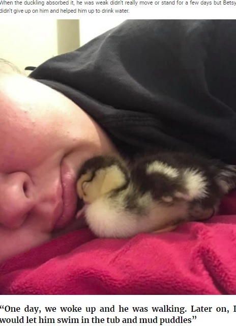 赤ちゃん鴨と一緒に寝る女性（画像は『Bored Panda　2020年4月20日付「Kids Destroy Duck’s Nest, Woman Saves Cracked Egg By Carrying It In Her Bra For 35 Days」』のスクリーンショット）