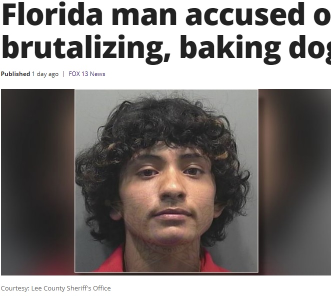 飼い犬をオーブンで焼いた男（画像は『FOX 10 Phoenix　2020年4月4日付「Florida man accused of brutalizing, baking dog」（Courtesy: Lee County Sheriff’s Office）』のスクリーンショット）